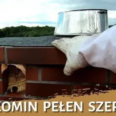 Jak usunąć pszczoły z komina: bezpieczne metody i porady ekspertów