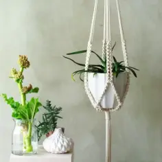 Jak zrobić kwietnik na ścianę: 5 prostych metod DIY krok po kroku