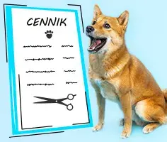Ile kosztuje kąpiel psa w salonie? Zaskakujące ceny i porady