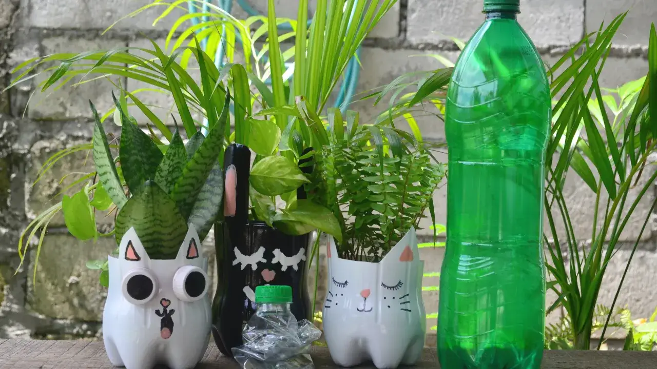 Zdjęcie Jak zrobić kwietnik z butelek plastikowych: 10 prostych kroków