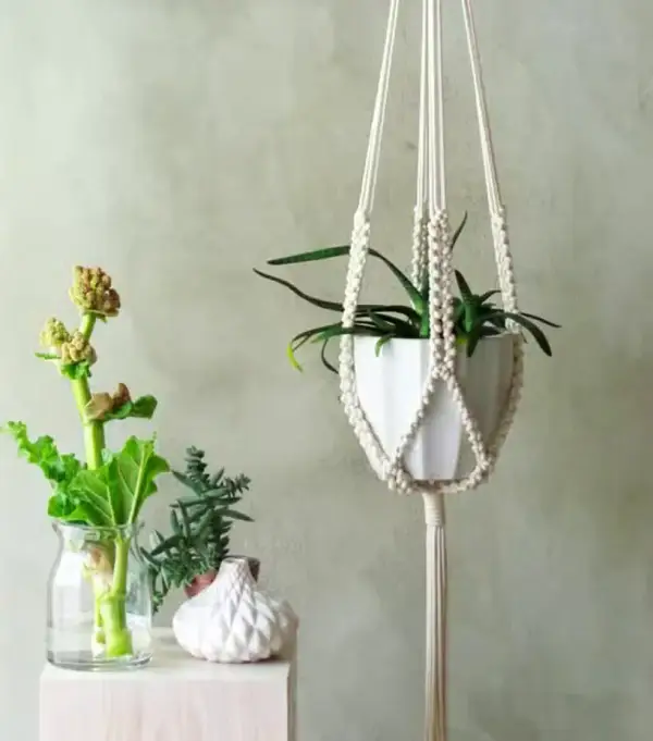Jak zrobić kwietnik na ścianę: 5 prostych metod DIY krok po kroku